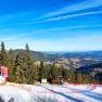 View of a ski slope with forest and mountains in the background under a blue sky.