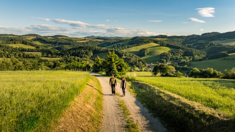 Zwei Personen wandern auf einem Schotterweg durch eine hügelige Landschaft mit grünen Feldern und Wäldern unter blauem Himmel.