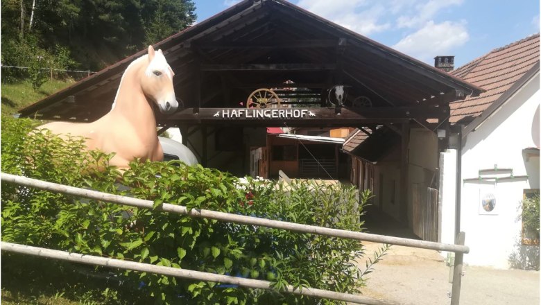 Eingang zum Haflingerhof mit Pferdestatue und Holzdach.