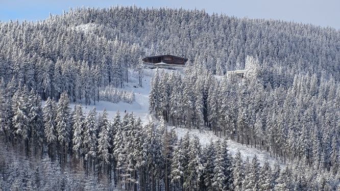 Snow-covered mountain hut in a dense forest on a hill.