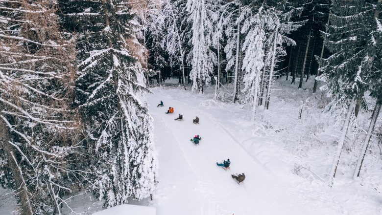 Menschen rodeln auf einer verschneiten Waldstrecke.