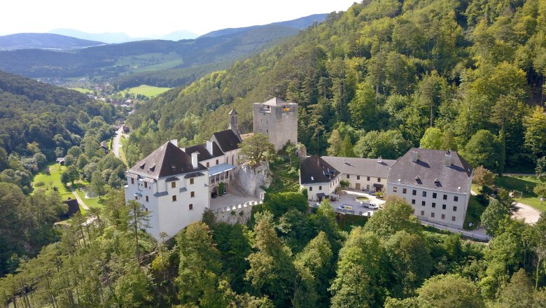 Luftaufnahme von Schloss Stixenstein inmitten grüner Wälder und Hügel.