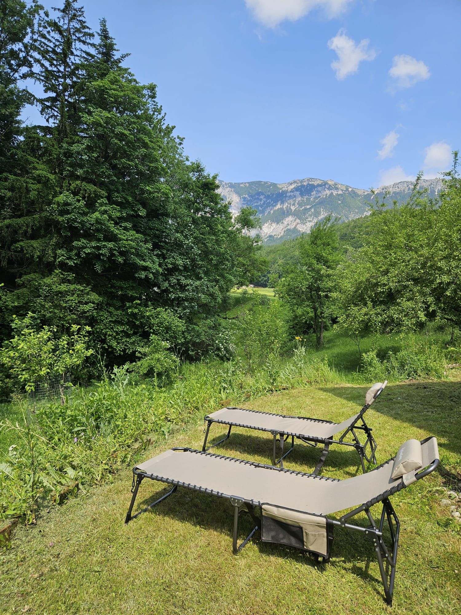 Zwei Liegestühle auf einer Wiese mit Blick auf bewaldete Berge unter blauem Himmel.