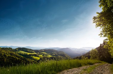 Die sanften Hügel im Paradies der Blicke, © Wiener Alpen/Florian Lierzer