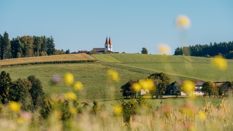 Landschaft mit Wallfahrtskirche mit zwei Türmen und rotem Dach auf einem Hügel