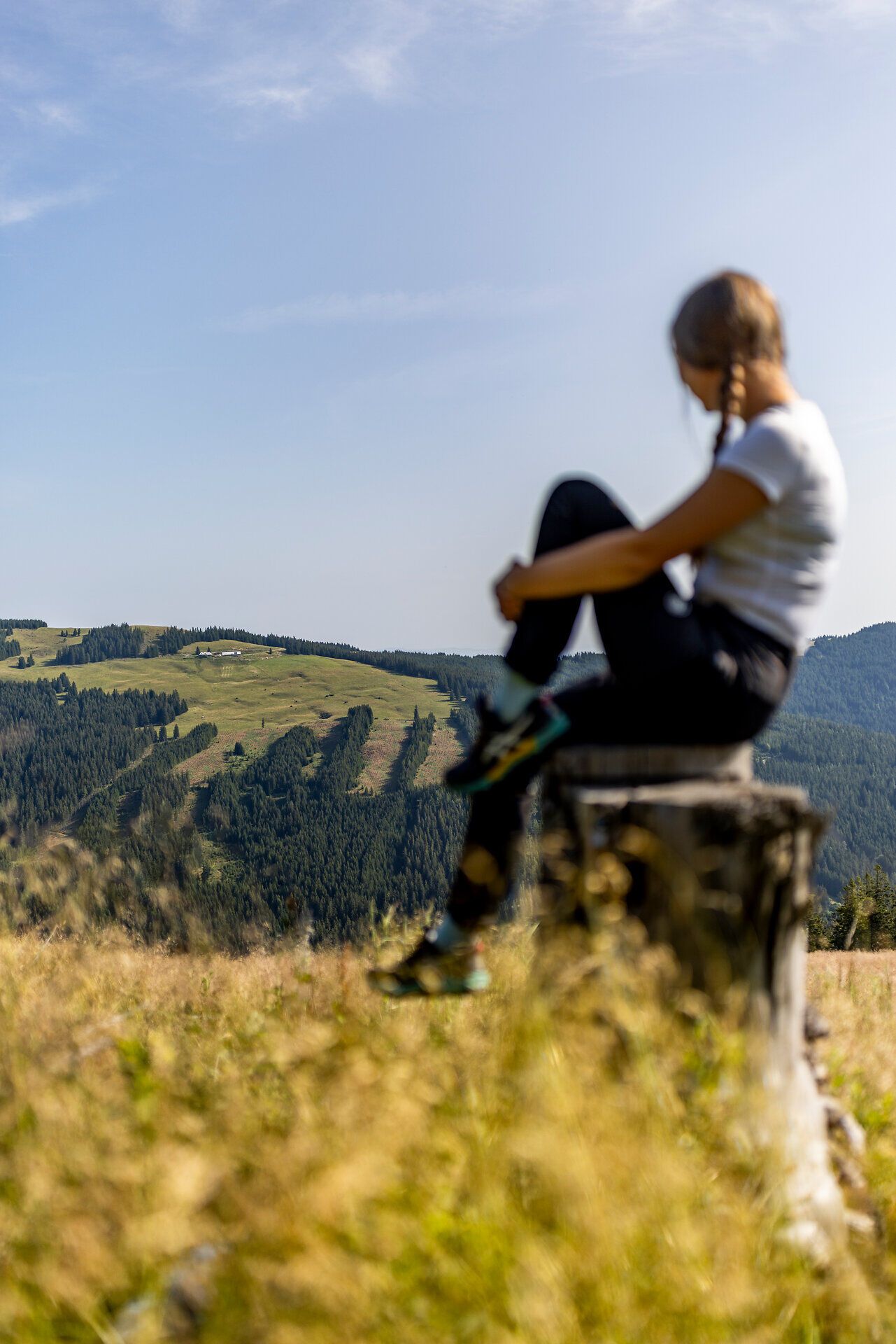 Eine Person sitzt auf einem Baumstumpf und blickt über die hügelige Landschaft der Schwaigen am Wechsel.