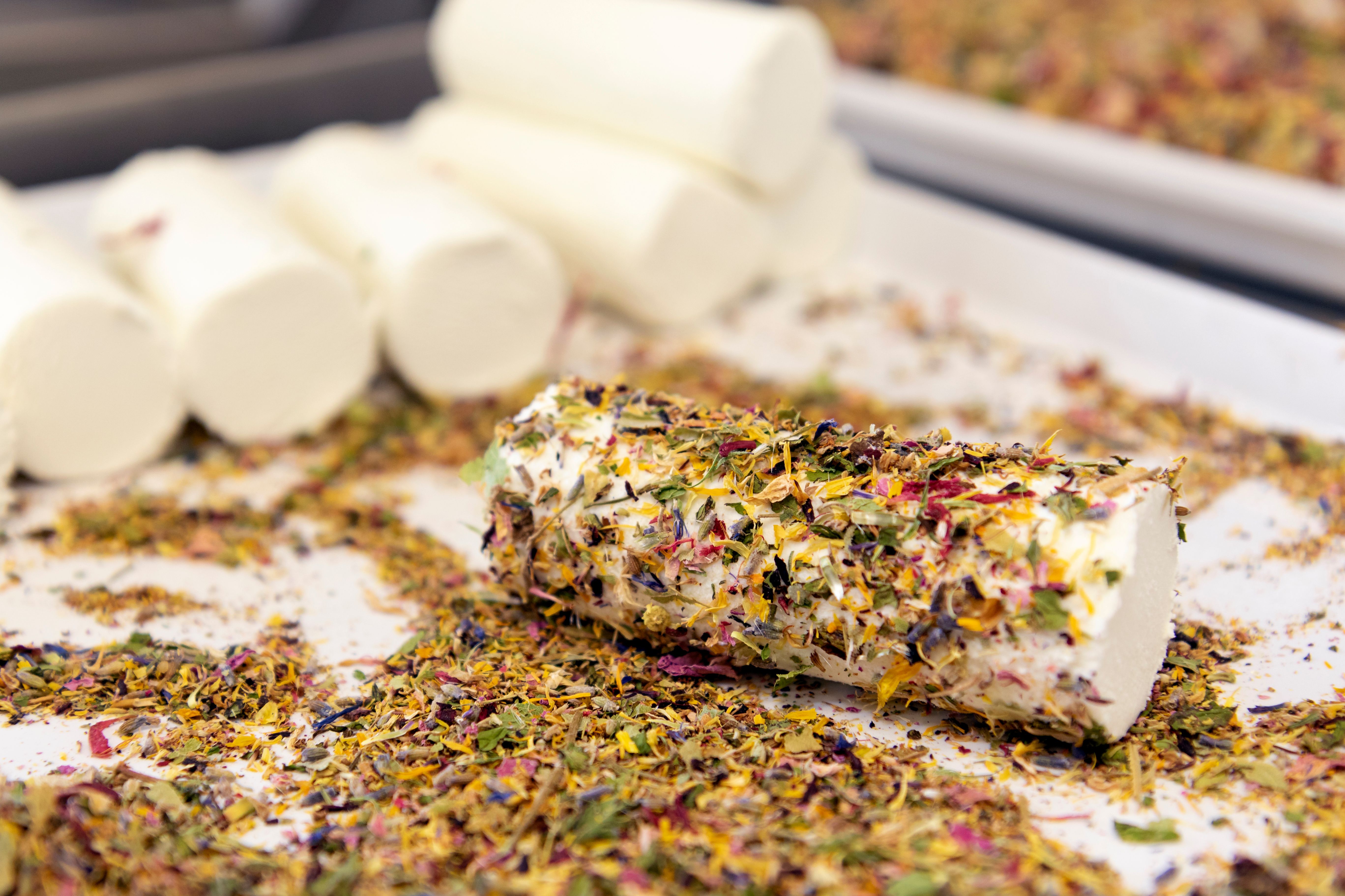 Ziegenkäse-Röllchen auf einem weißen Tablett mit getrockneten Blütenblättern.