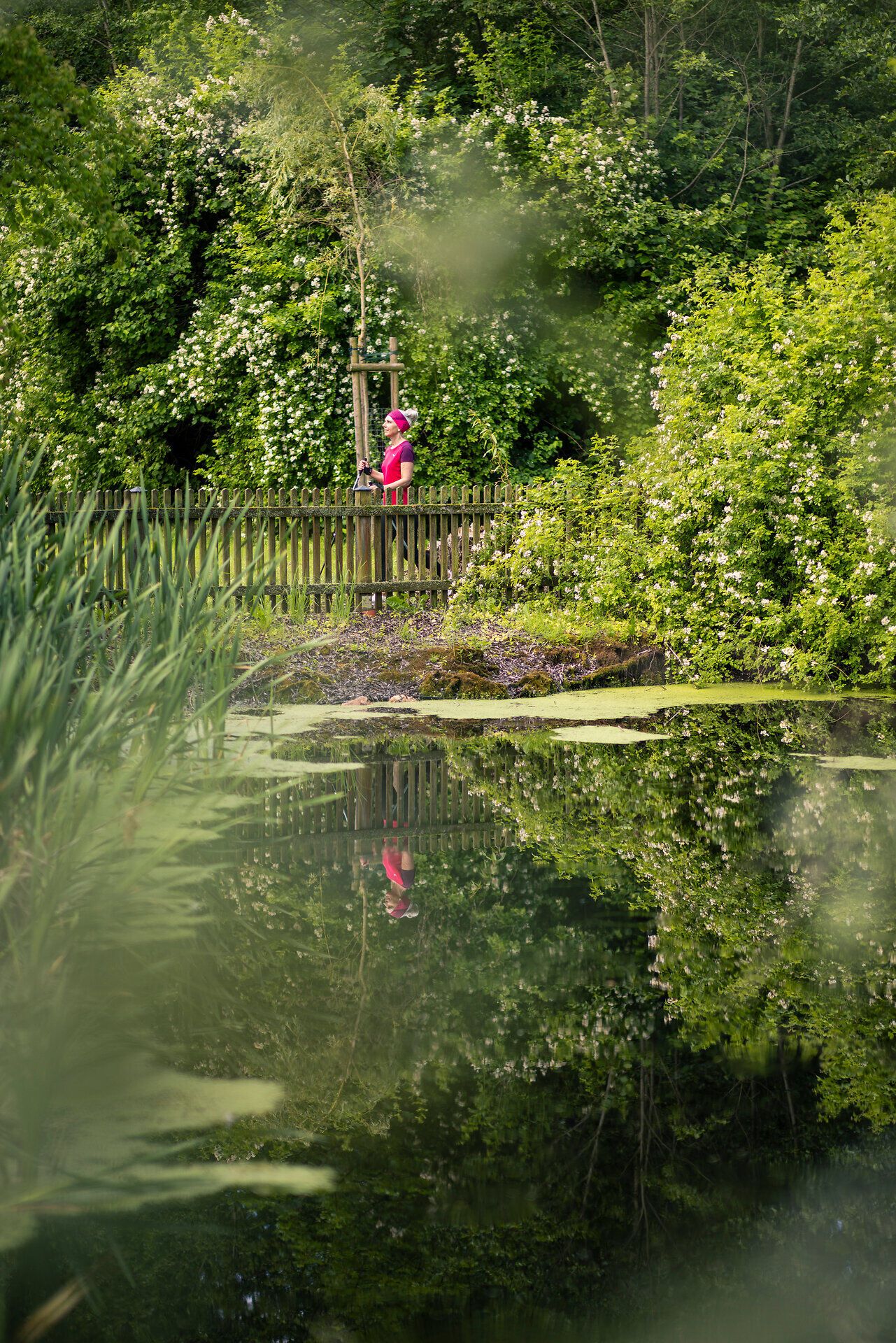 Eine sportlich gekleidete Frau mit Walking Stöcken trainiert neben einem großem Teich und zwischen grünen Bäumen und Sträuchern. Die Landschaft und die Frau spiegeln sich im Wasser.