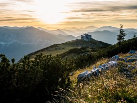 Die sanften H&uuml;gel der Rax erstrahlen im warmen Licht der Abendsonne, w&auml;hrend die bunten Wildblumen im Vordergrund sanft im Wind wiegen. Ein Gef&uuml;hl von Freiheit und Abenteuer durchzieht die Luft, perfekt f&uuml;r eine entspannte Wanderung oder ein gem&uuml;tliches H&uuml;ttenh&uuml;pfen.