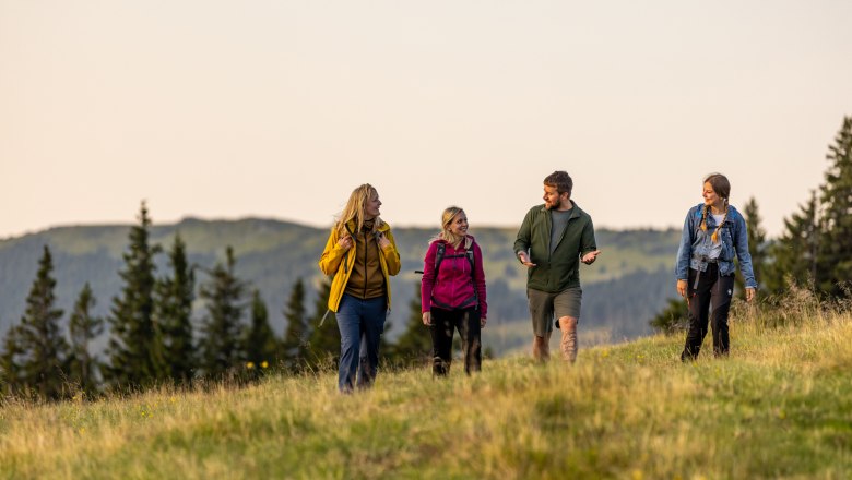 Vier Personen wandern auf einer Wiese in den Bergen bei Sonnenuntergang.