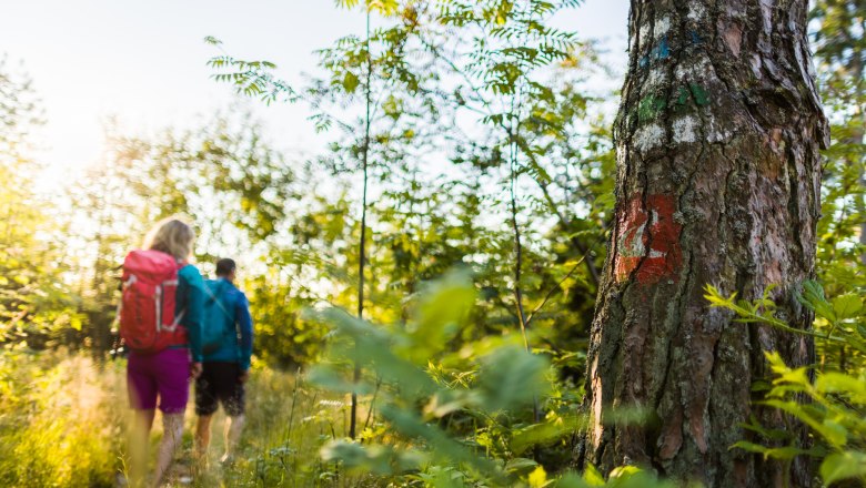 Zwei Wandernde auf einem Waldweg, Baum mit Markierung im Vordergrund.