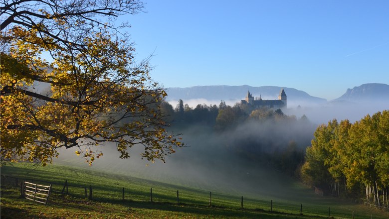 Blick auf die Burg Wartenstein, © Gemeinde Raach