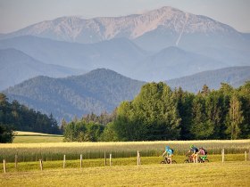 Piestingtalradweg, &copy; Wiener Alpen in Nieder&ouml;sterreich