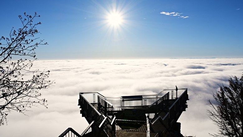 Aussichtsterrasse Skywalk hoch über der Nebeldecke, © Fabian Kaiser