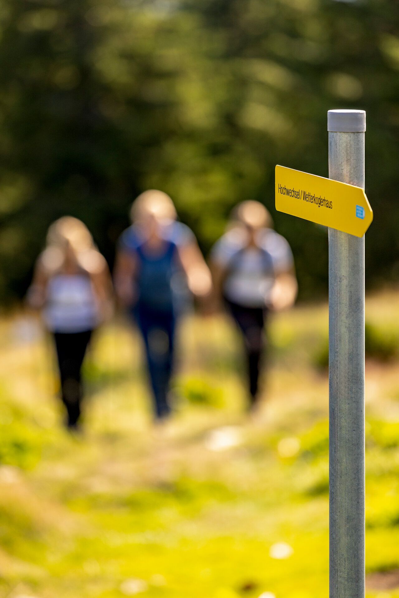 Eine Beschilderung zeigt den Weg Richtung "Hochwechsel Wetterkoglerhaus", im Hintergrund sind die Umrisse von drei Wanderern zu erkennen.