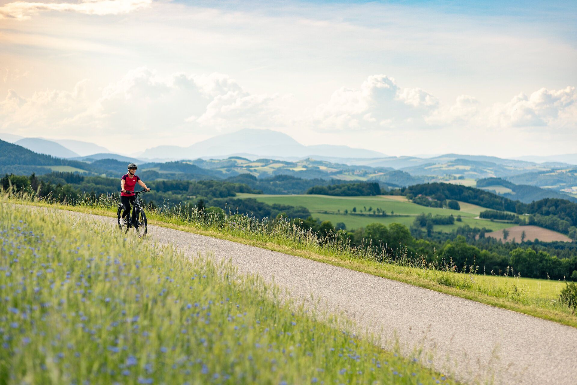 Ein Radfahrer fährt eine kleine Straße entlang. Im Vordergrund eine Wiese mit Gräsern und Blumen, im Hintergrund die Hügeln der Buckligen Welt.