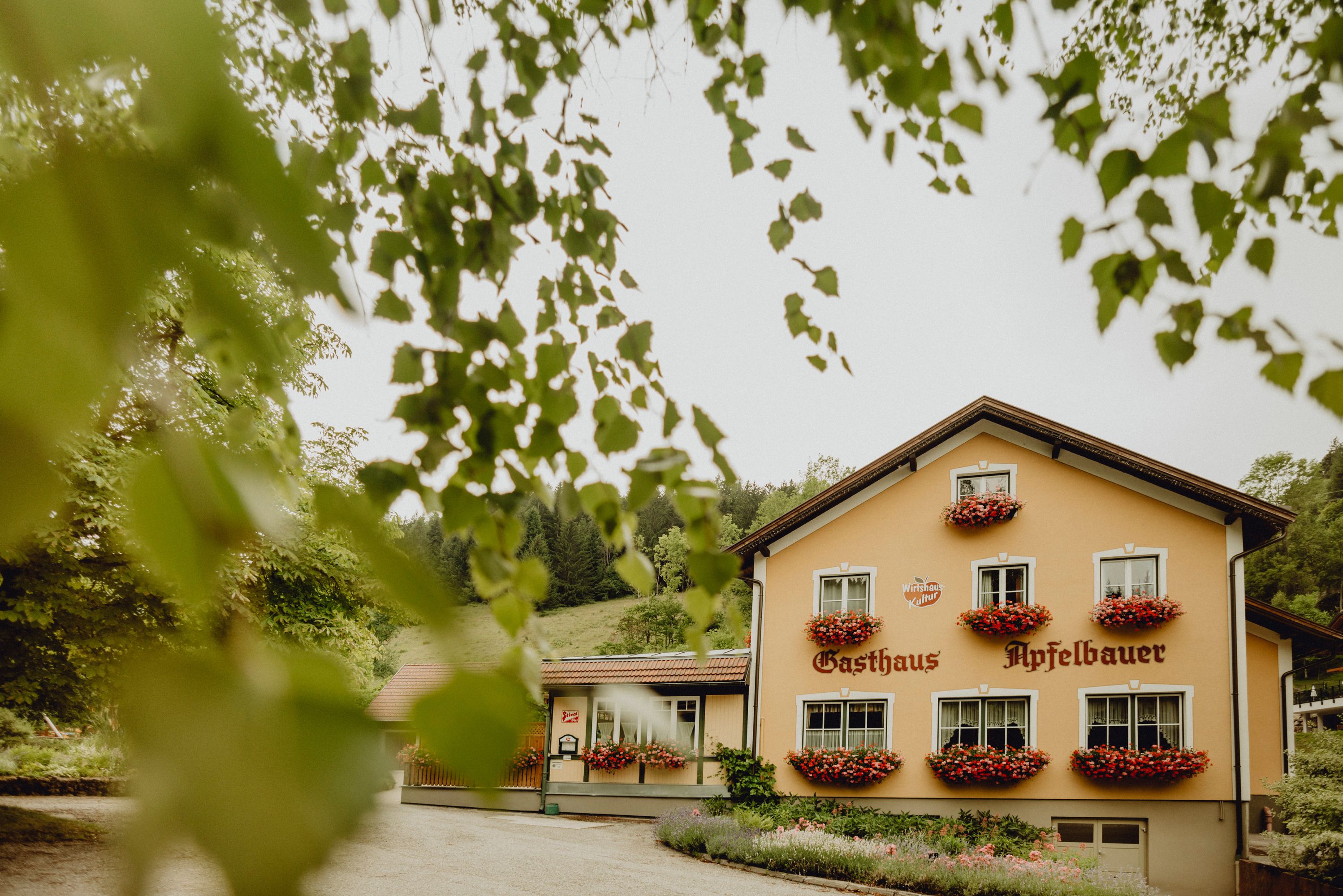 Ein traditionelles Gasthaus mit gelber Fassade und Blumenkästen vor den Fenstern, umgeben von grünen Bäumen.