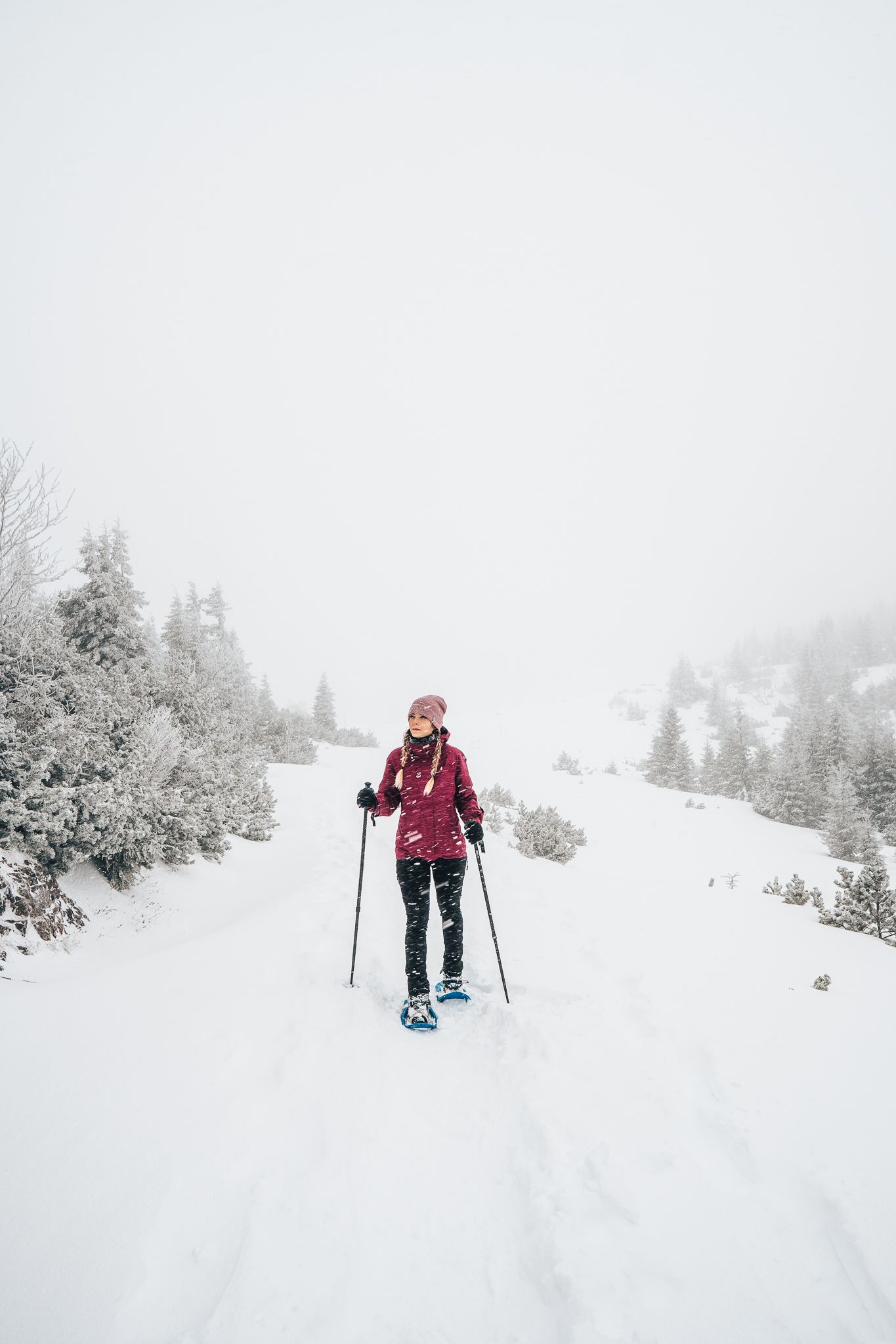 Inmitten einer winterlichen Traumlandschaft wandert eine Person durch den glitzernden Schnee, umgeben von schneebedeckten Bäumen. Die frische, kalte Luft und die ruhige Stille der Natur laden dazu ein, die Schönheit der Wiener Alpen zu genießen und die Seele baumeln zu lassen.