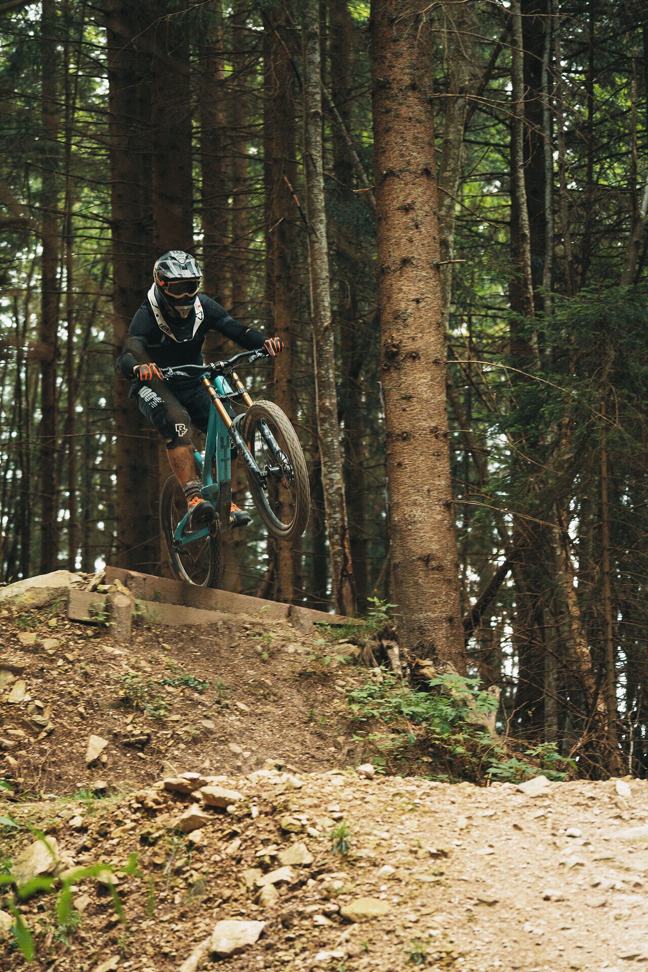 Mountainbiker springt mit dem Fahrrad über eine Erhebung auf einem Waldtrail zwischen hohen Bäumen.