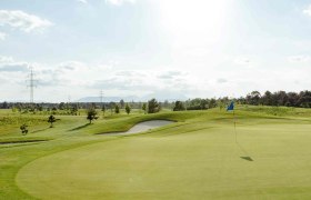 Golfplatz mit Fahne auf dem Grün, umgeben von Bäumen und Strommasten unter einem bewölkten Himmel.