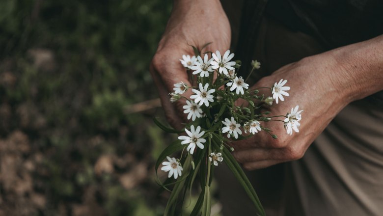 Nahaufnahme von Händen, die einen Strauß weißer Wildblumen halten.