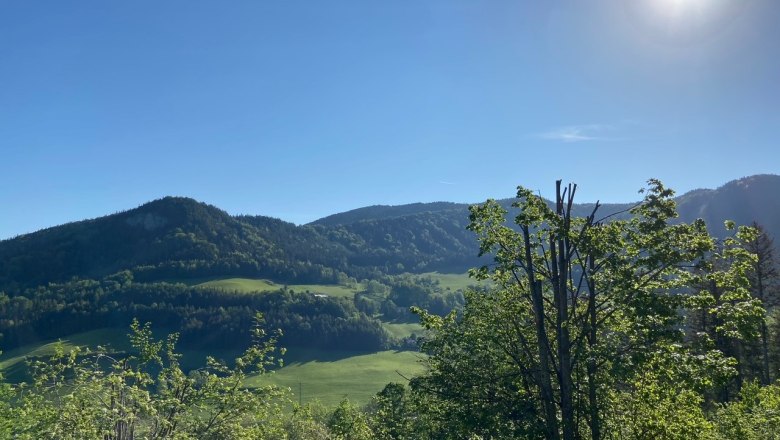 Blick auf eine grüne Hügellandschaft unter klarem, blauem Himmel mit strahlender Sonne.
