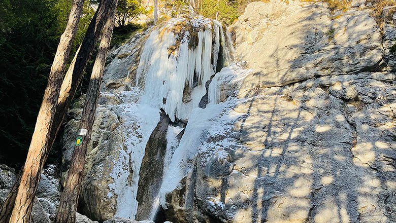 Ein gefrorener Wasserfall in einer felsigen Landschaft mit Bäumen im Vordergrund.