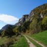 Ein Wanderweg führt entlang einer grünen Wiese am Fuß eines bewaldeten Berges unter blauem Himmel.