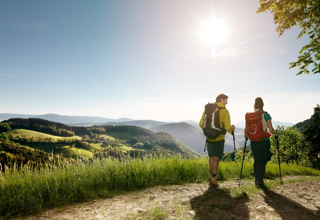 Wandern in den Wiener Alpen, © Wiener Alpen/Florian Lierzer