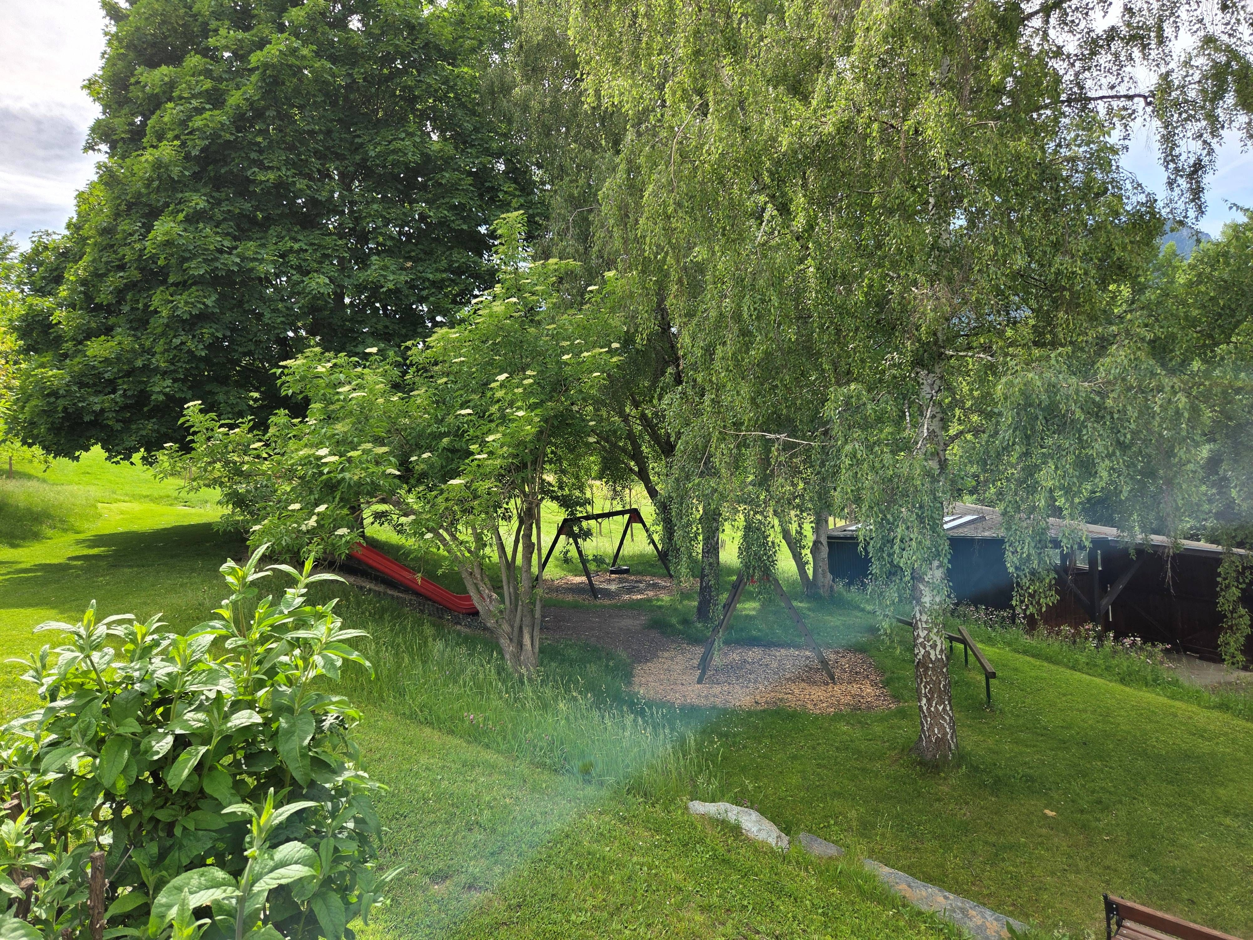 Ein grüner Garten mit Bäumen, einer Schaukel und einer Rutsche.