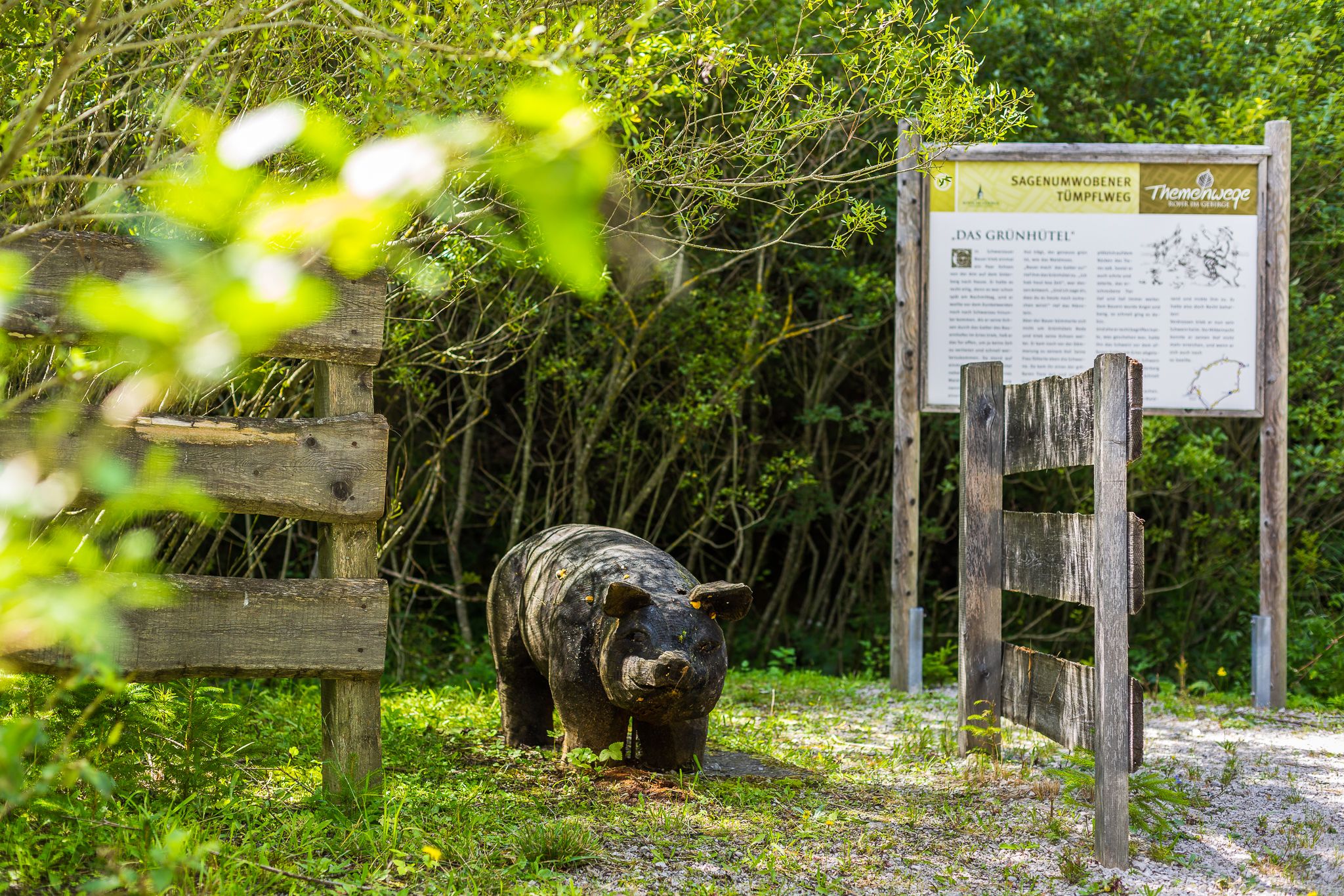 Eingang zum Tümpflweg mit Wildschwein aus Holz