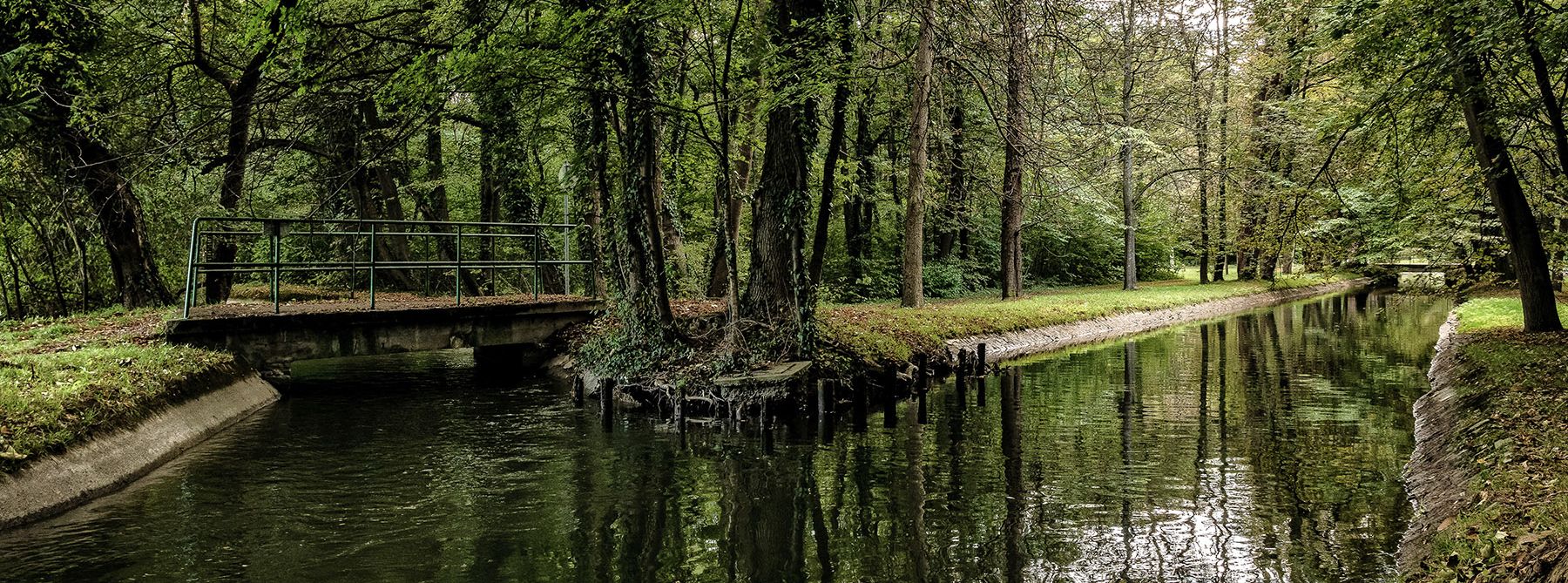 Flussufer des Kehrbachs, rundherum sind Bäume 