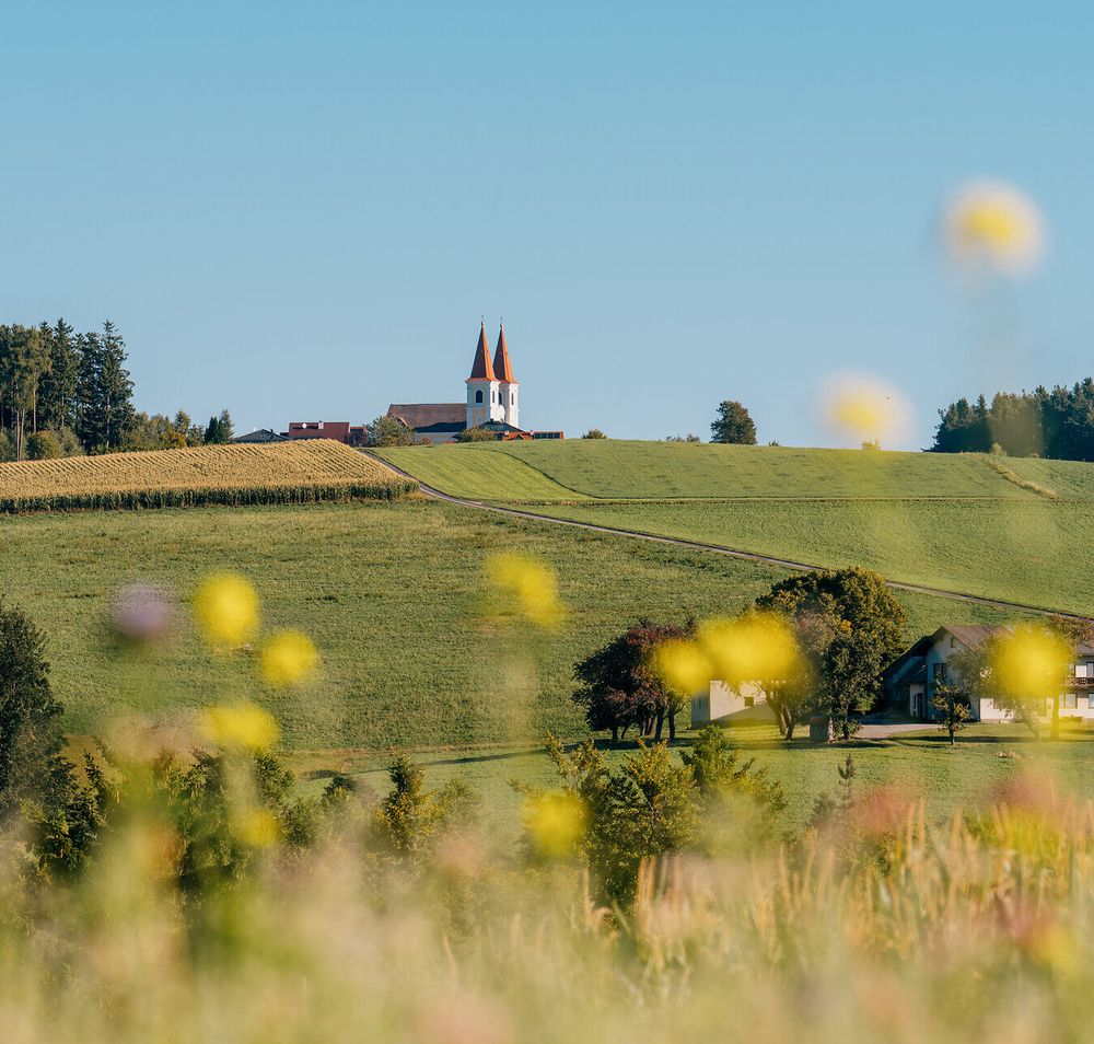 Landschaftsaufnahmen im Herbst von der Buckligen Welt
