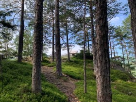 Weg zum Aussichtspunkt, © Wiener Alpen in Niederösterreich - Semmering Rax