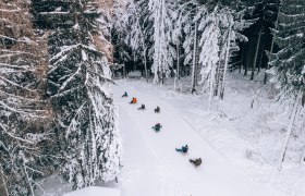 People tobogganing on a snow-covered forest track.