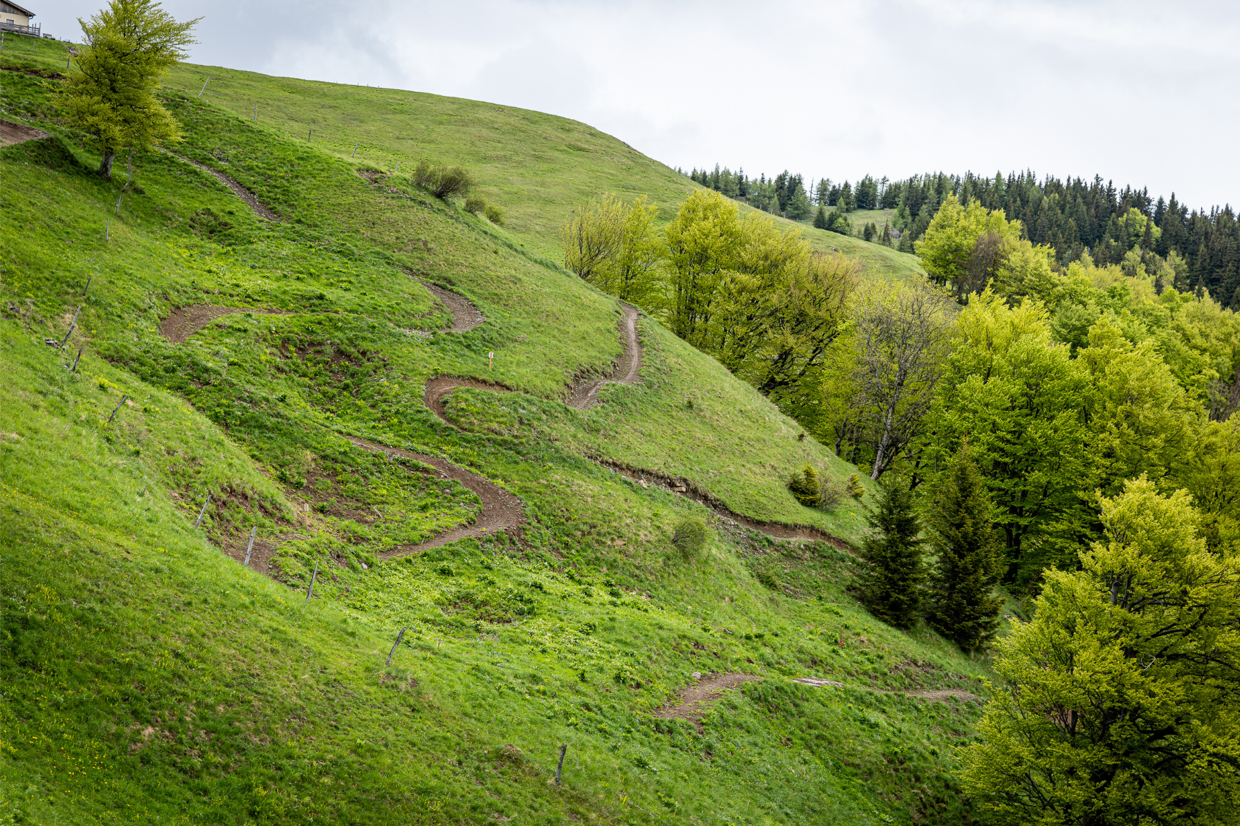 A winding trail meanders through a green, hilly landscape with trees in the background.