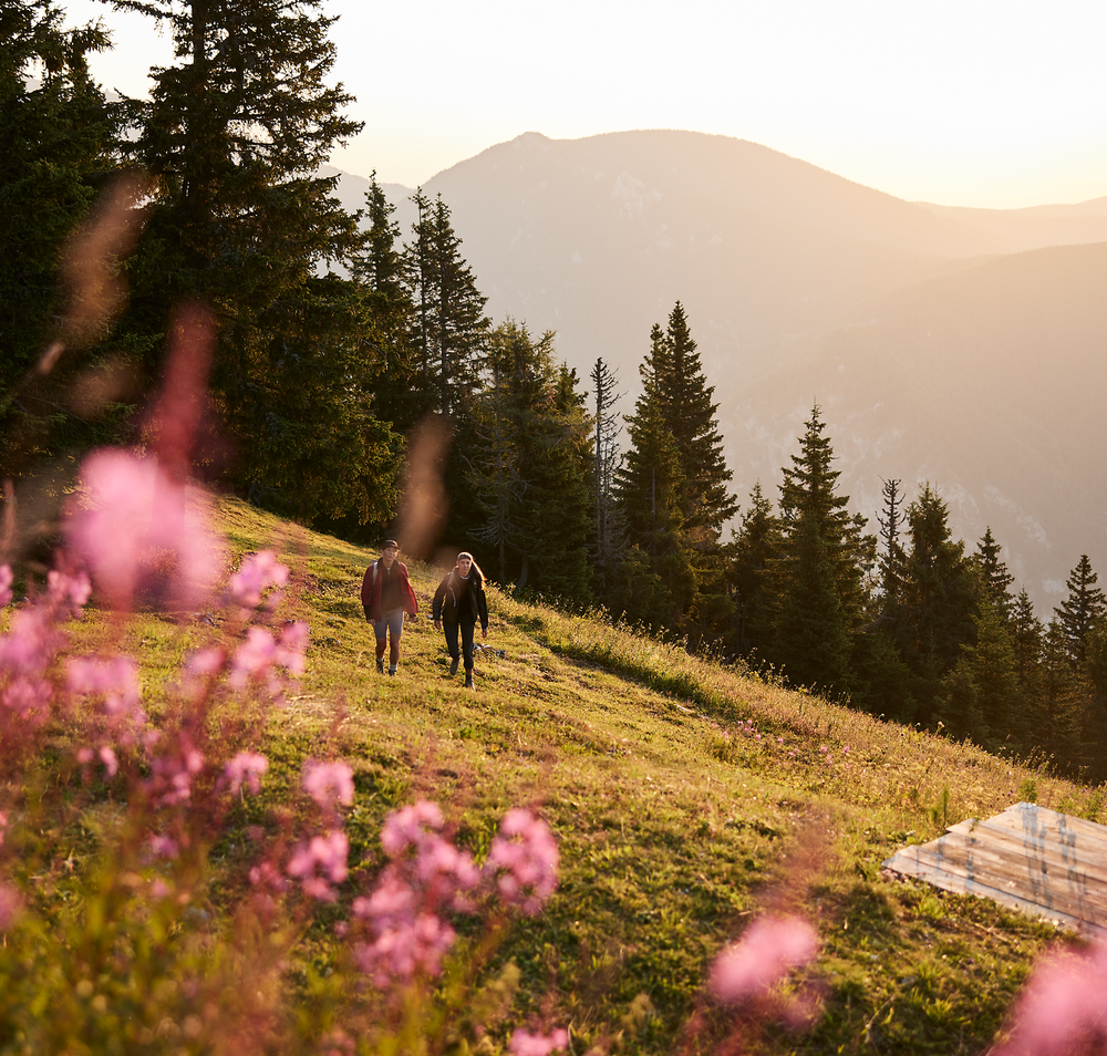 Rax, Wandern, Raxalpe, Wiener Alpen in Niederösterreich
