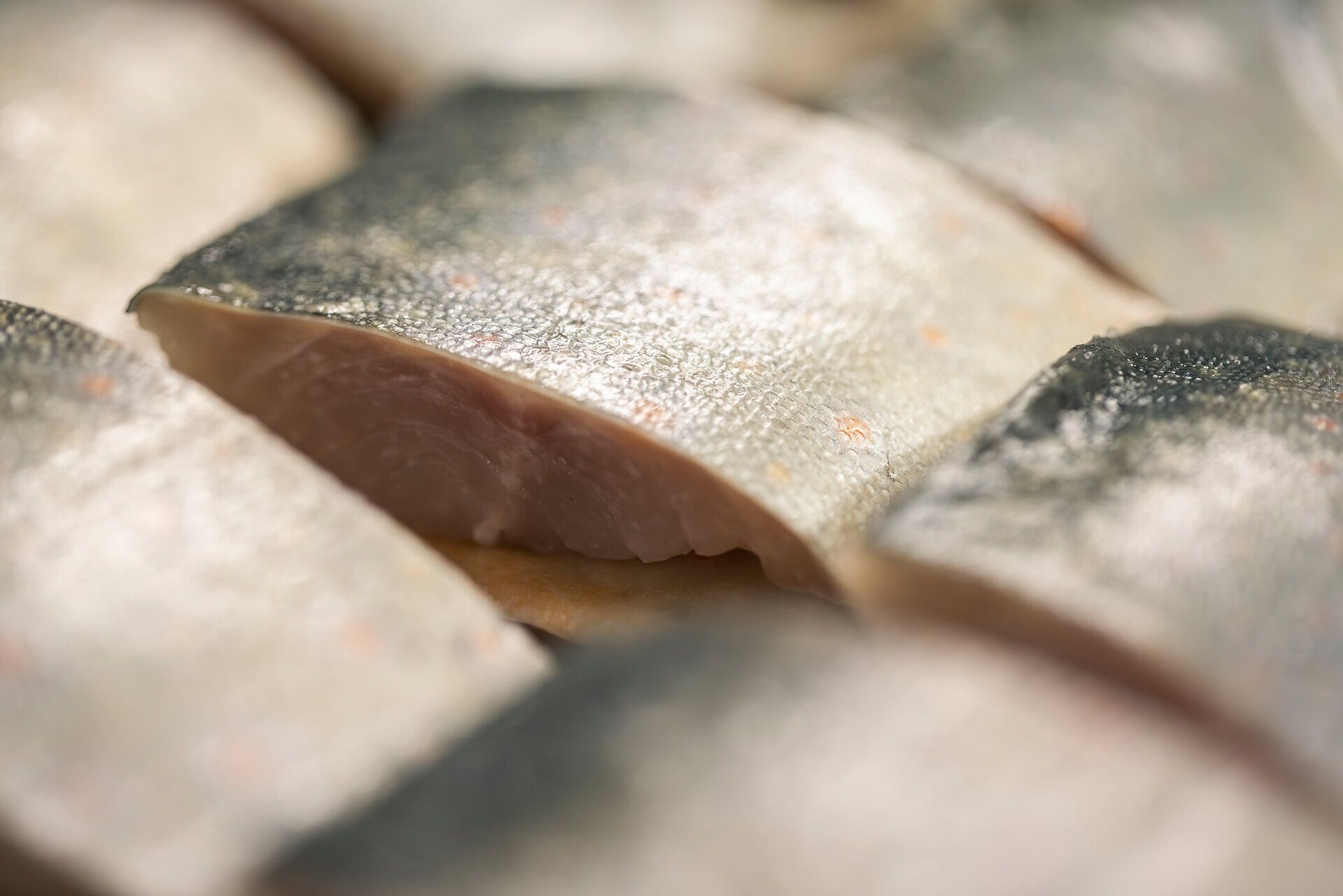 Nahaufnahme von Fischfilet-Stücken