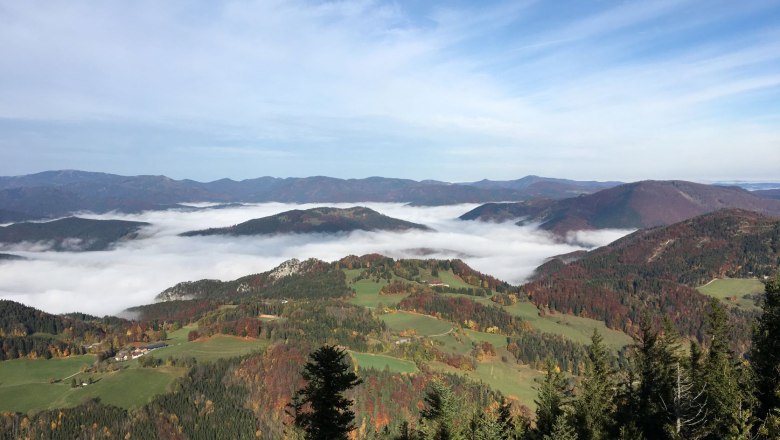 Blick auf eine nebelverhangene Berglandschaft mit grünen Wiesen und Wäldern unter blauem Himmel.