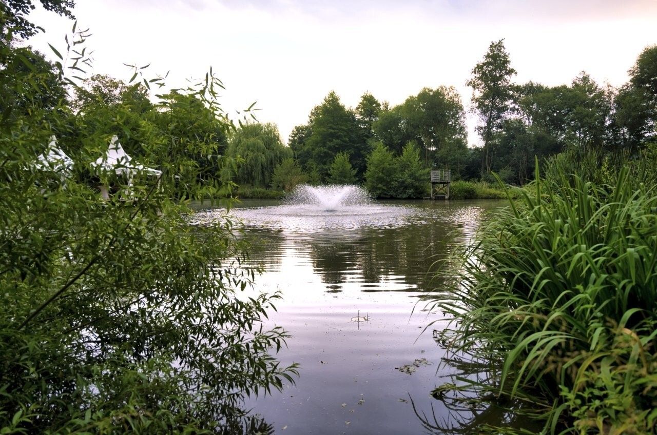 Freuen Sie sich auf einen entspannten Abend voller Genuss und guter Stimmung beim Chillout am idylli