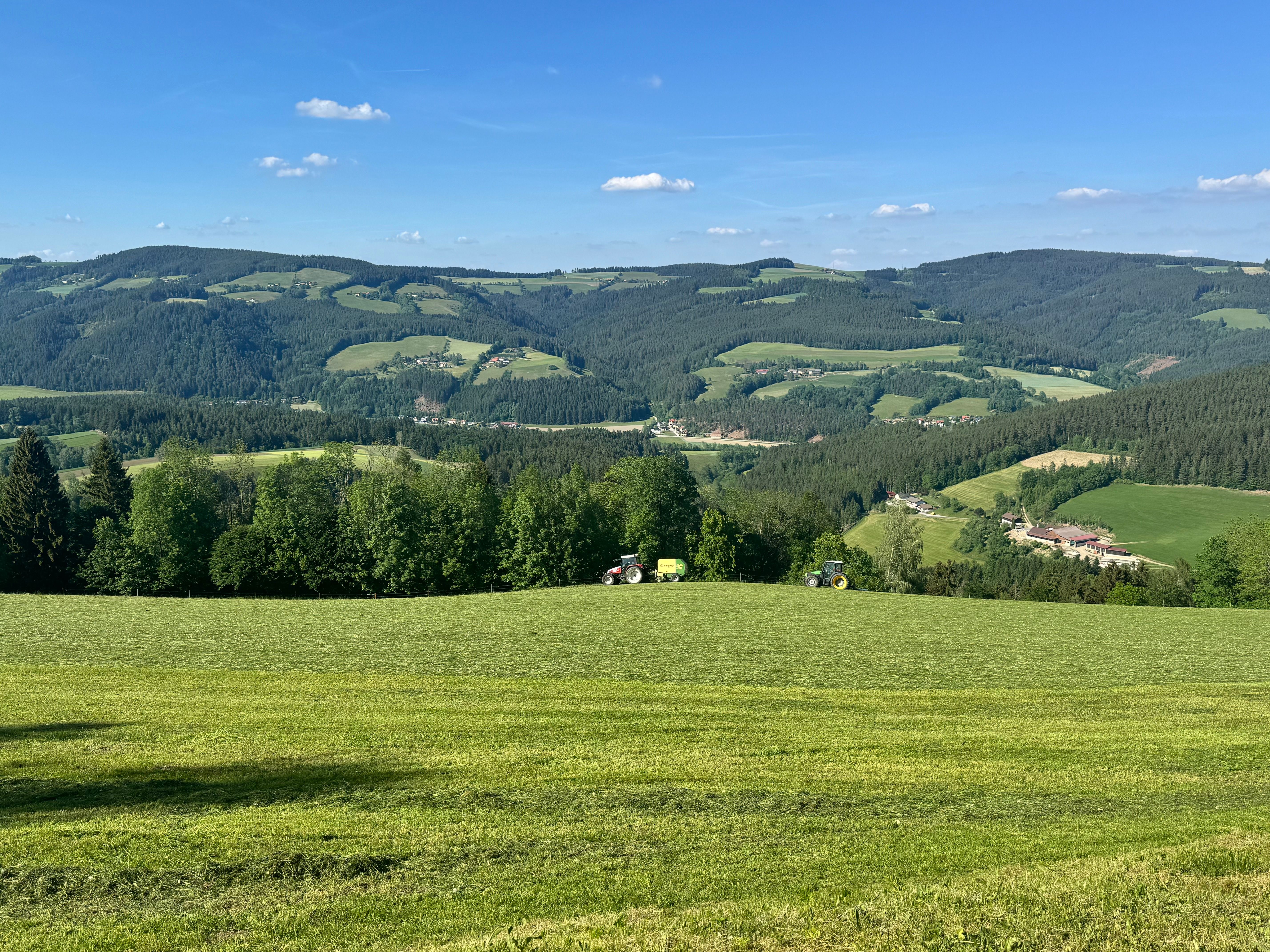 Landschaft mit grünen Hügeln und Wäldern unter blauem Himmel.