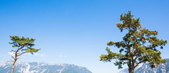 Am Kreuzberg, © Wiener Alpen in Niederösterreich