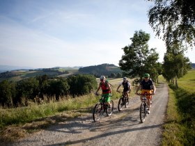 Mountainbiken in den Wiener Alpen, © ©Wiener Alpen, Foto: Thomas Bartl