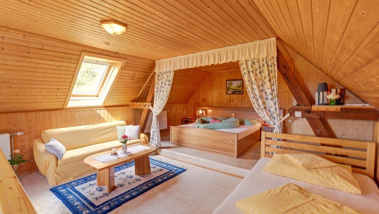Cozy bedroom with wooden walls, a bed, sofa and skylight.