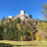 Ruin Losenheim on a hill with trees in the foreground.