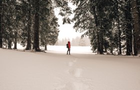 Frau wandert im verschneiten Wald 