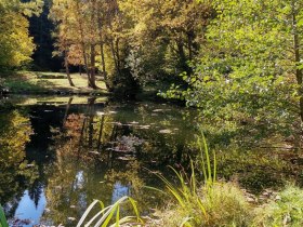 Sachsenbrunner Teiche, &copy; Wiener Alpen in Nieder&ouml;sterreich - Wechsel