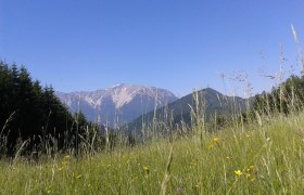 Kaiserebenwiese Puchberg am Schneeberg, &copy; &copy;Monika Gschaider