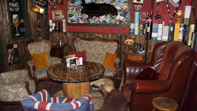 Cozy room with armchairs, table and dog on carpet.