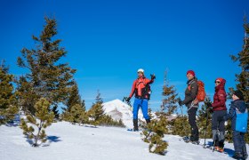 Group of people snowshoeing in a snowy mountain landscape.